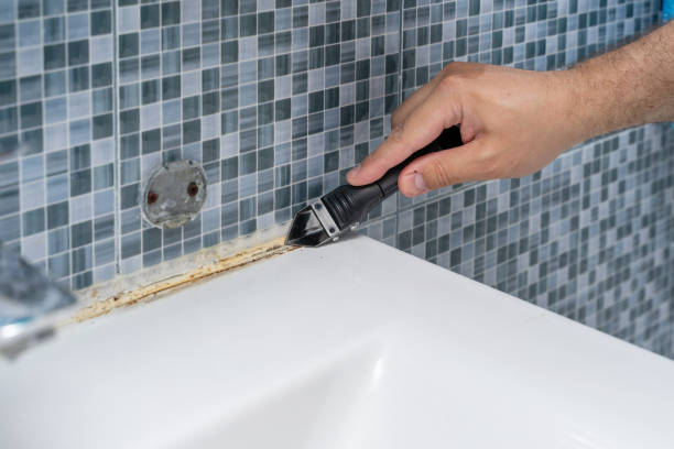Best Mold Remediation for Specific Building Types in Williamson, WV