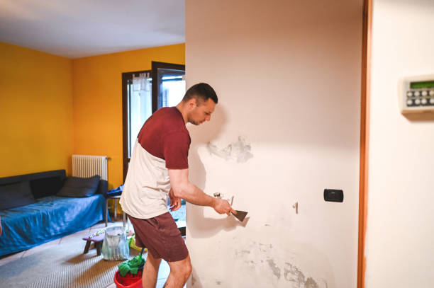 Best Basement Mold Remediation in Williamson, WV